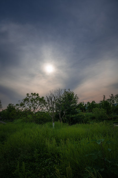 黄昏的草地和桥梁图片下载