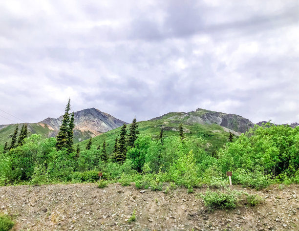 春天的阿拉斯加山脉图片下载