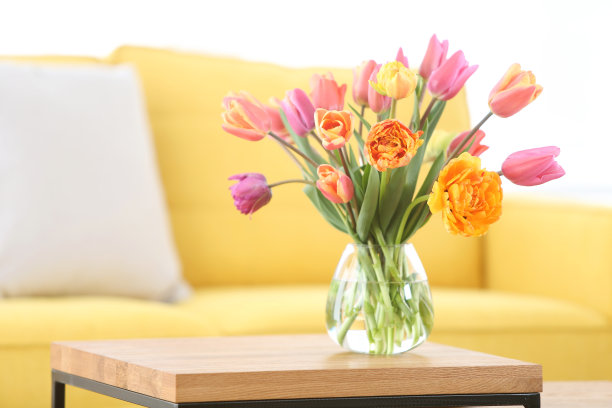 郁金香图片下载