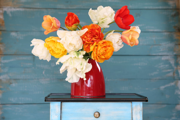 郁金香图片下载