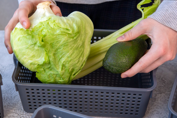 这个女孩用灰色的塑料盒子来储存蔬菜。家庭空间的组织，家庭秩序。图片下载