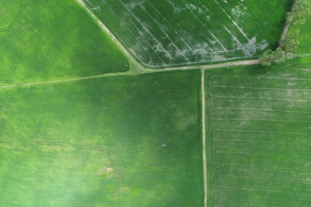 绿色稻田鸟瞰图泰国乡村图片下载