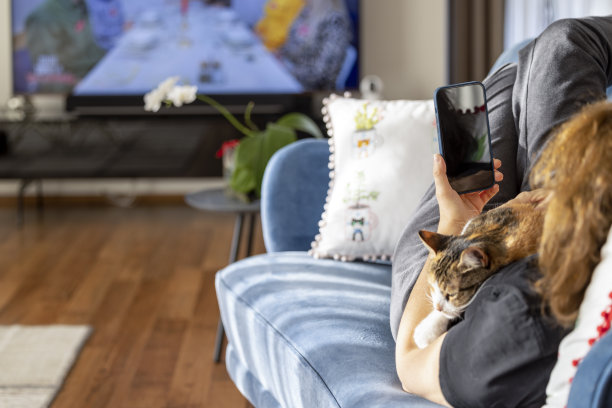 中年妇女抱着她的猫在家里看电话图片下载