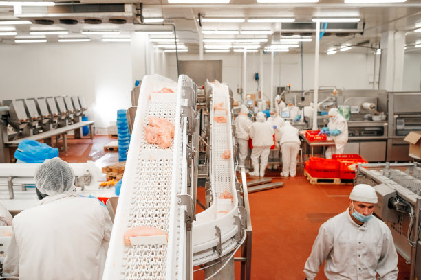 肉类加工厂。肉类工厂的工业设备。现代化家禽加工厂。在鸡肉工厂工作的人-库存照片。现代化食品工厂的自动化生产线。图片下载