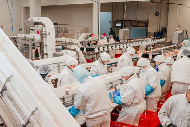 现代化食品工厂的自动化包装和切割生产线。肉类加工设备。食品产品肉鸡鱼片生产线上的塑料输送包装。图片下载