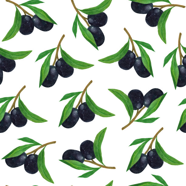 橄榄枝无缝水彩图案。地中海树小枝上成熟的黑色果实和叶子。植物素描，健康食品。手绘插图孤立在白色背景图片下载