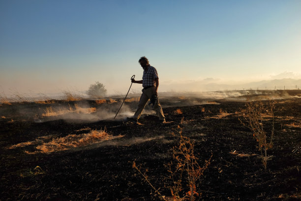 农民走在雾蒙蒙的田野上图片下载