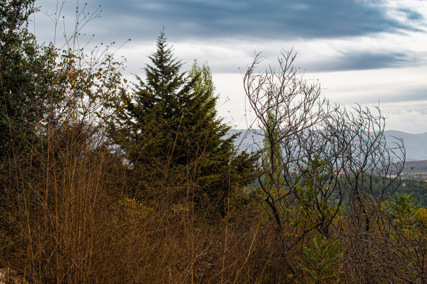 黎巴嫩的迪尔房间很漂亮图片下载