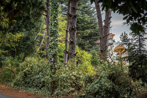 黎巴嫩的迪尔房间很漂亮图片下载