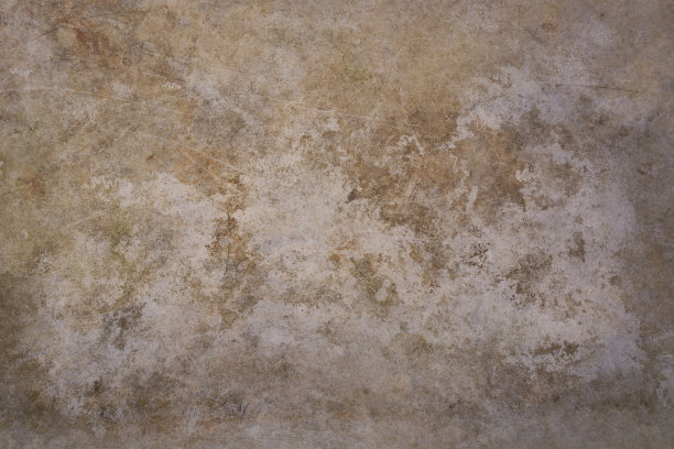 浅棕色和白色的摄影背景图片下载