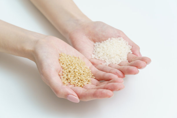 手拿白米和糙米图片下载