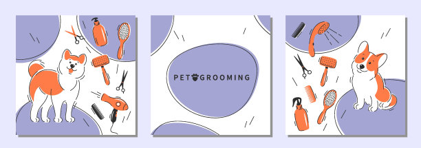 梳理18图片下载