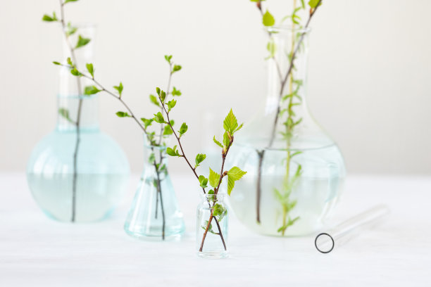 纯天然有机植物成分和美容水的概念。科学家在实验室做研究，测试。戴着蓝色的医用手套抗衰老、抗痘痘、护肤图片下载