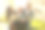 快乐的不同代深情的家庭在室内玩，看着笔记本电脑屏幕，享受看滑稽的喜剧电影或回忆电子设备上的假期照片图片下载