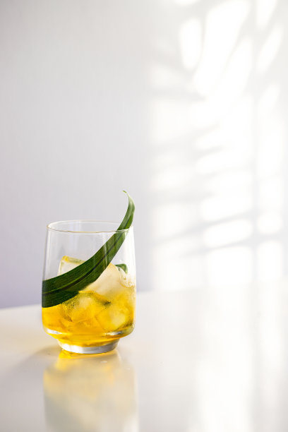 白色背景下以棕榈叶装饰的热带鸡尾酒，具有夏日度假概念图片下载