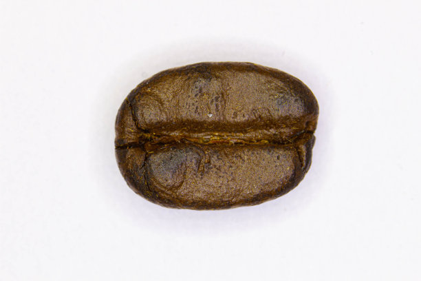 咖啡豆。棕色咖啡豆分离在白色背景。用于制作芳香的阿拉比卡、罗布斯塔、Excelsa和Liberica咖啡的咖啡豆。美味的饮料。孤立。特写宏。本空间图片下载