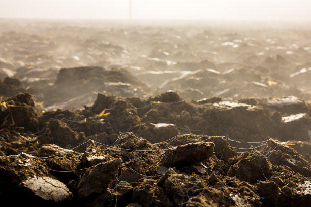 雾笼罩着乡下新耕的耕地图片下载