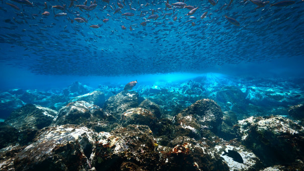 美丽的蓝色水下景观图片下载