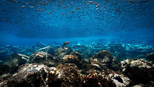 美丽的蓝色水下景观图片下载