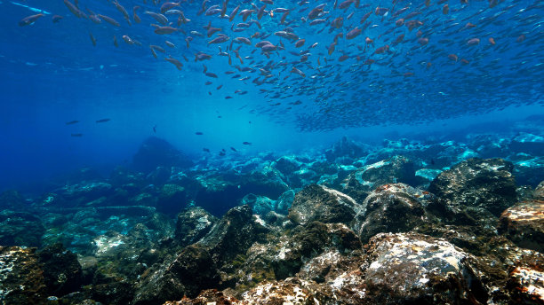 美丽的蓝色水下景观图片下载