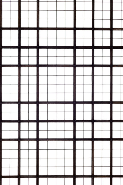 玻璃圆顶或玻璃屋顶，网格，俯视图图片下载