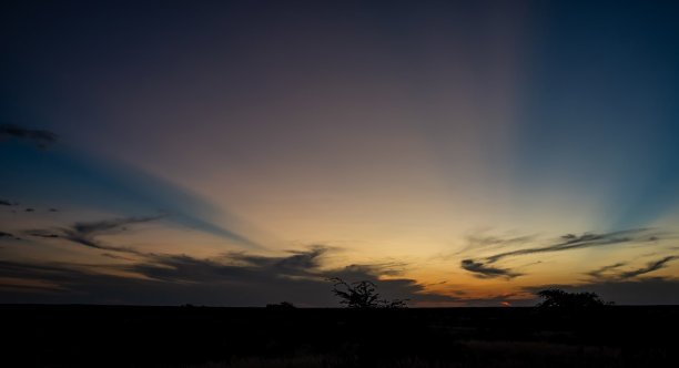 喀拉哈里沙漠的日落图片下载