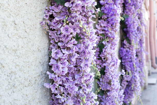 装饰与紫色装饰人造飞燕草花在商店的入口，商店的窗户和门面。特写镜头。图片下载