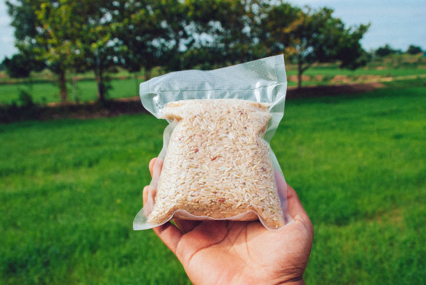 泰国香米图片下载