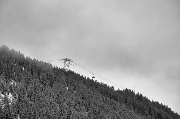 瑞士达沃斯Klosters，冬季缆车前往Jakobshorn，树上刚被雪覆盖图片下载