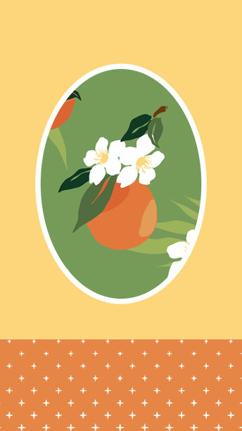 橘色插画卡通橘子水果手机壁纸图片下载