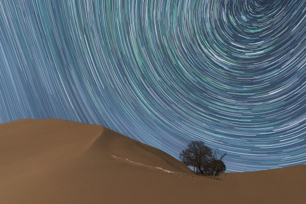 沙漠中的树木和恒星的轨道图片下载