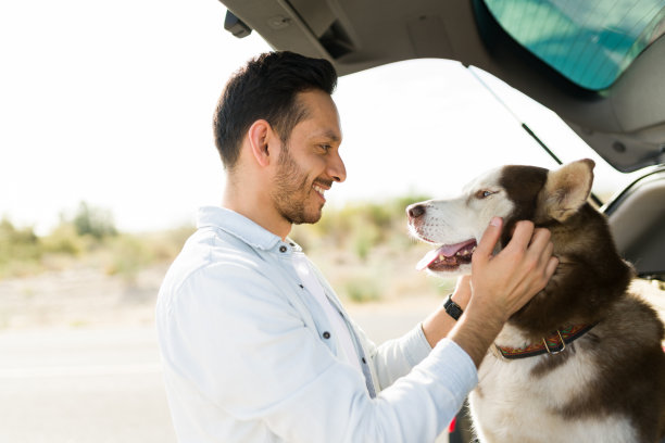 快乐的男人喜欢他在后备箱里的狗图片下载