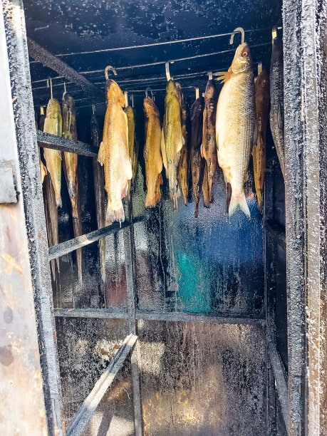 熏制室的钩子上挂着新鲜的鳟鱼图片下载