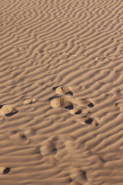 沙背景在夕阳的光图片下载