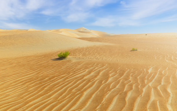 鲁卜哈利沙漠的沙丘和彩色沙子图片下载