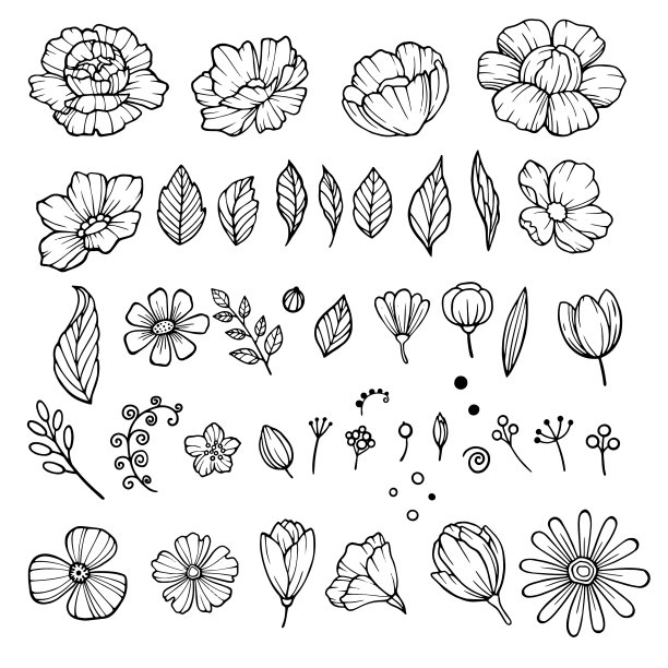 牡丹花元素图标设置手绘风格图片下载