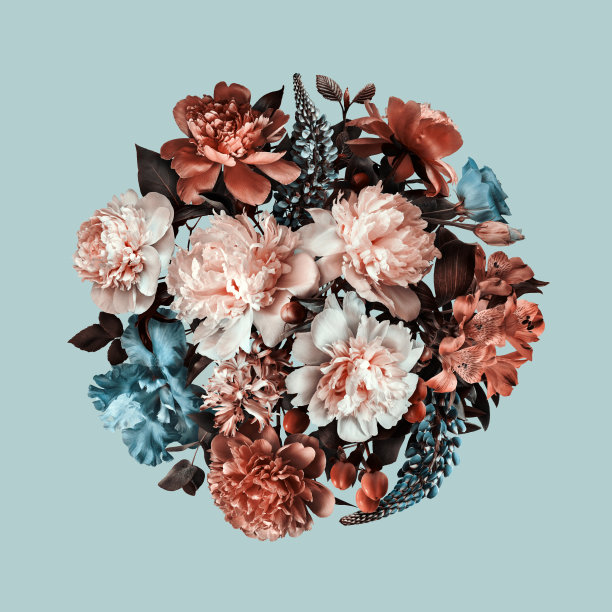 花卉拼贴在蓝色和棕色的颜色。数字艺术。图片下载