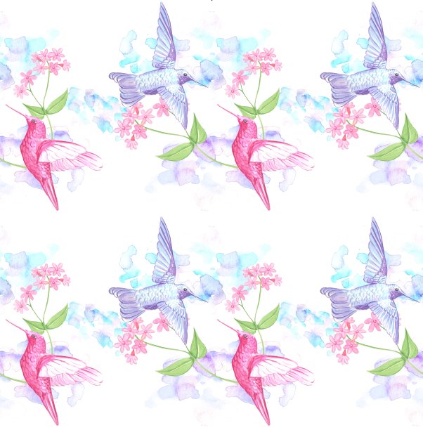 有蜂鸟和花朵的无缝图案图片下载