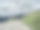 森林里的柏油路。通往山里的路。Alpen路图片下载