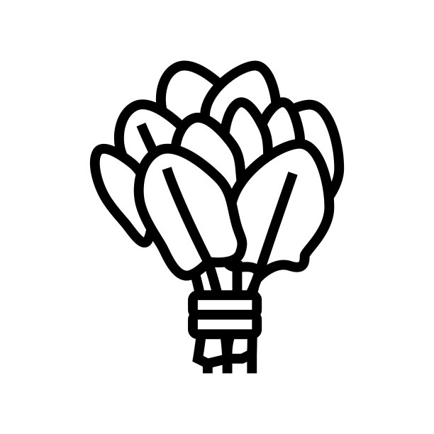 束菠菜线图标矢量插图图片下载
