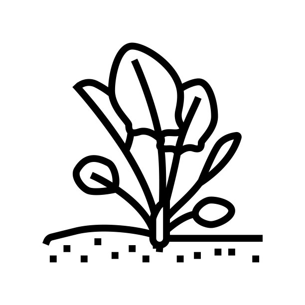 种植菠菜生长线图标矢量插图图片下载