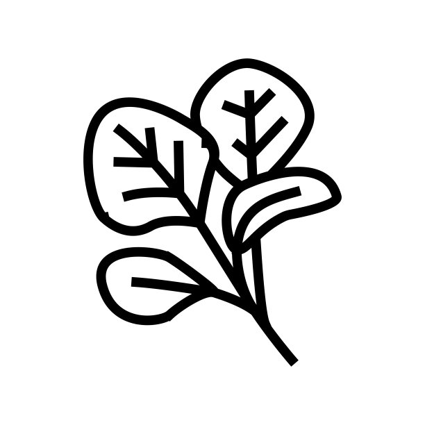 红色菠菜线图标矢量插图图片下载