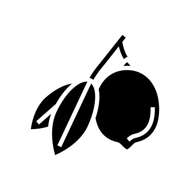 柠檬柑橘与叶字形图标矢量插图图片下载