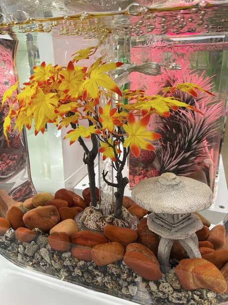 水族馆的东方风格水景特写图片，岩石底座，日本雪灯和色彩鲜艳的人造塑料日本枫树(掌槭槭)图片下载
