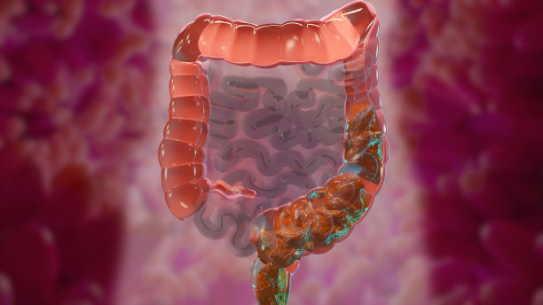 人体消化系统解剖三维插图，肠的概念，通便剂，便秘的特点，3d渲染图片下载