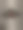 蝴蝶或蛾子图片下载