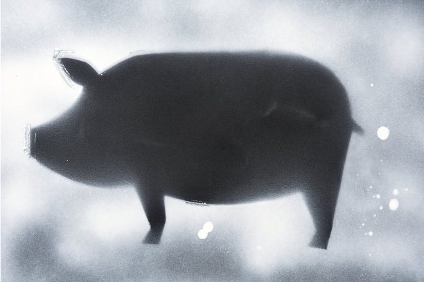 在黑色上喷漆图片下载