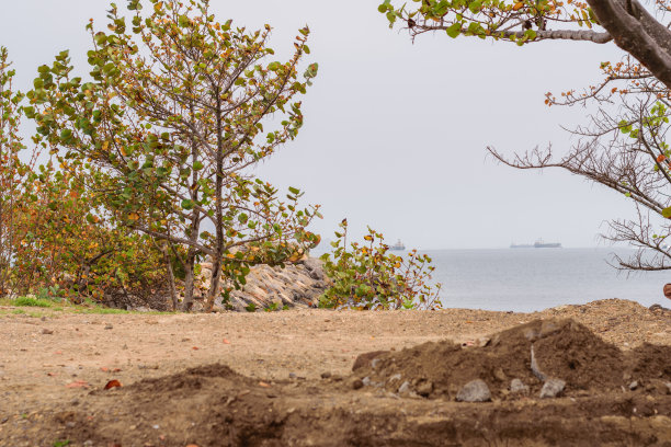 从不同的角度和地方拍摄阴天的海滩，照片的基调是温暖的图片下载
