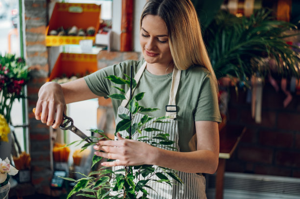 花商用修剪剪修剪盆栽的雌性植物图片下载