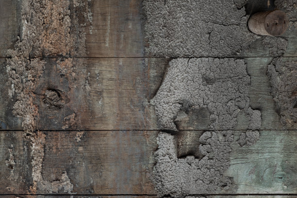 旧的大木桶的表面已被留在恶化。图片下载